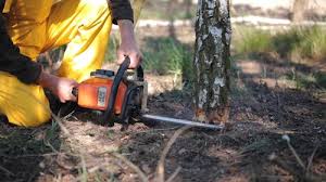 Best Lot and Land Clearing  in Modesto, CA